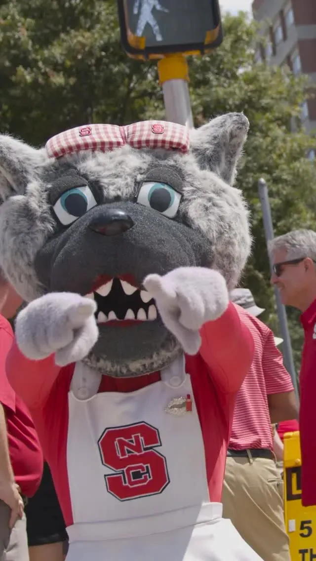 It’s almost time to Pack the street!🐺🤘🐾

On Aug. 22, the Wolfpack’s biggest party will take over Hillsborough Street. Join us at #Packapalooza for a day filled with live music, arts and crafts, delicious food and unforgettable fun as we celebrate the start of a new school year at NC State. This year’s headliner, @SavedByThe90s, is bringing “Y2K: The Millennium Party” with music from the 2000s and beyond.

🔗Tap the link in @NCStateDASA’s bio for more event details.
Packapalooza™ is presented by Live It Up Hillsborough Street (@liveitupraleigh).

Video Description: A compilation of past Packapalooza highlights featuring musical performances, activity tents and crowds of fans.