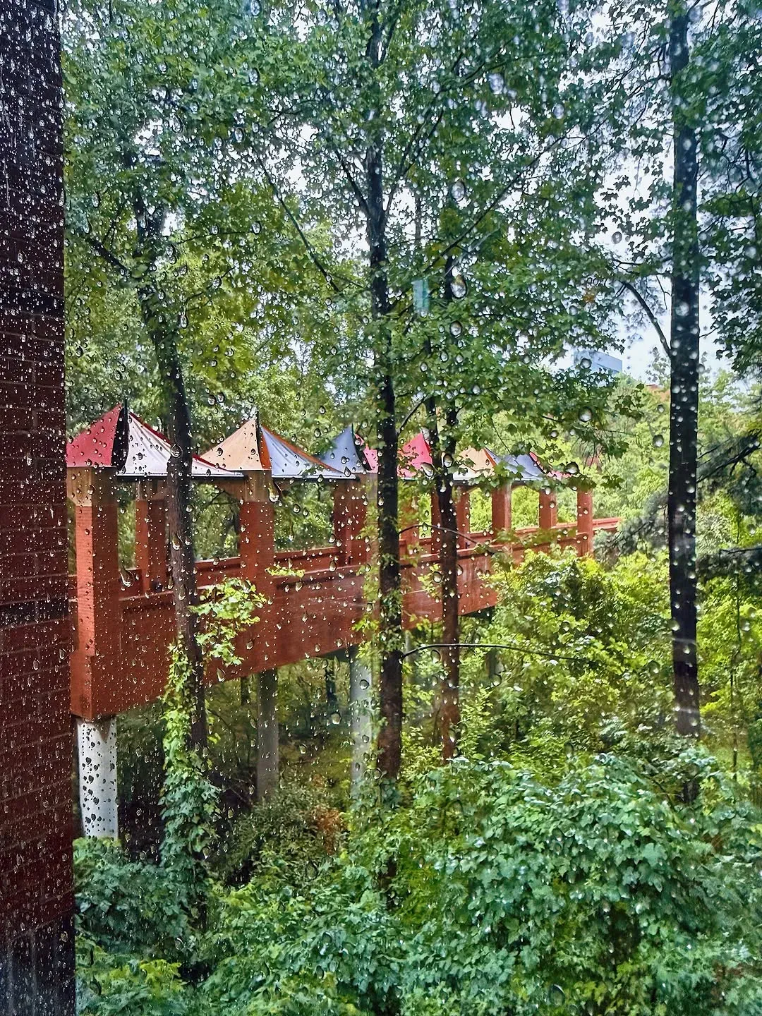 Red, white and rain. 🌧️