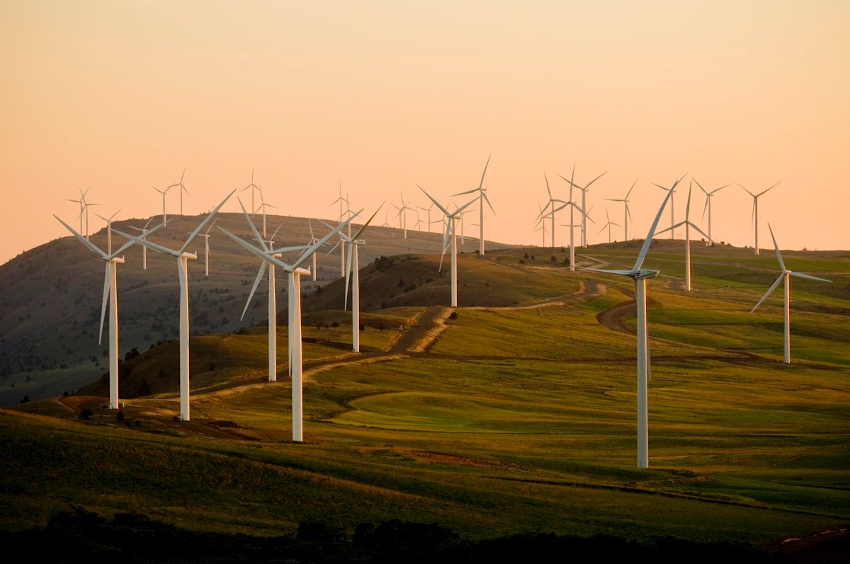 The Job and Pay Showdown: Ecologists