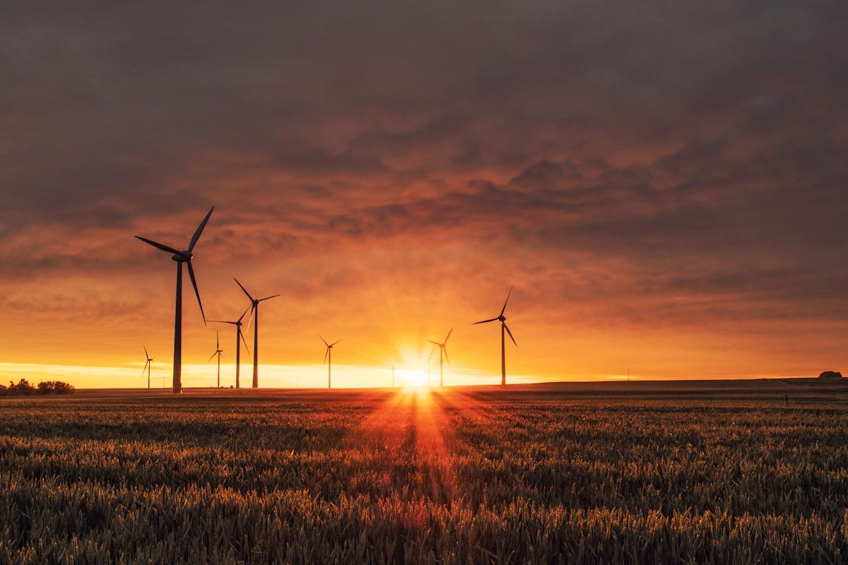 The Job and Pay Showdown: Energy Auditors