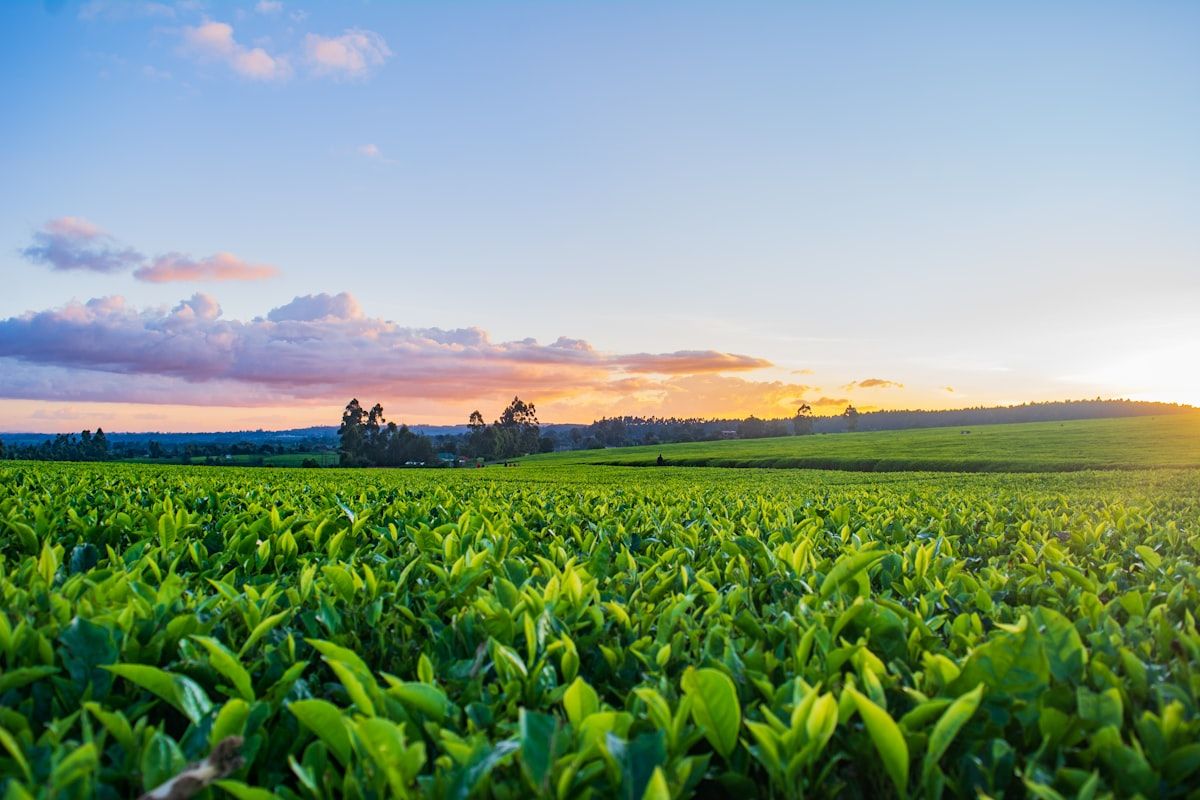 How to Become a Farm Systems Technician