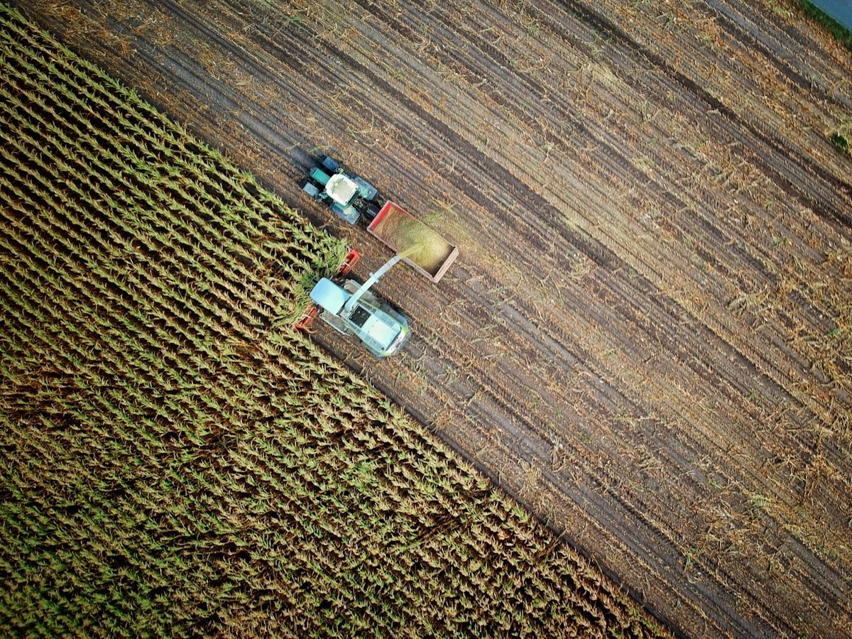 How to Become a Farmer
