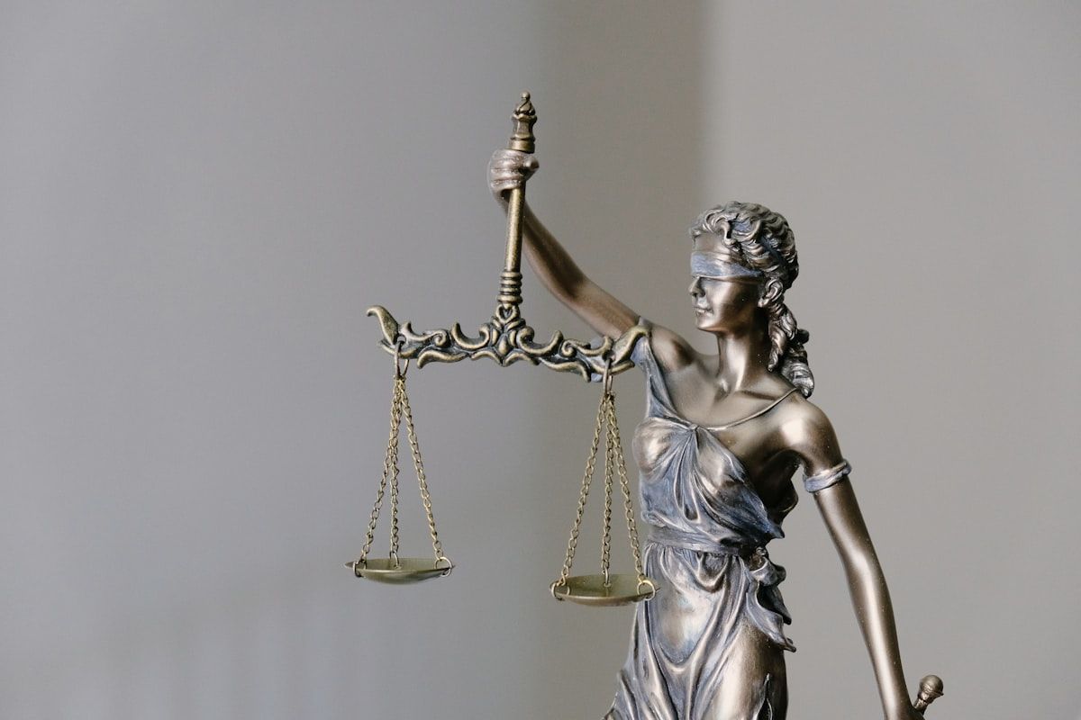 Ways Into the Justice System