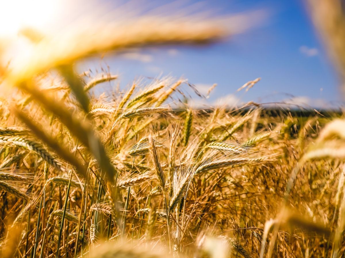 The Job and Pay Showdown: Livestock Farmers
