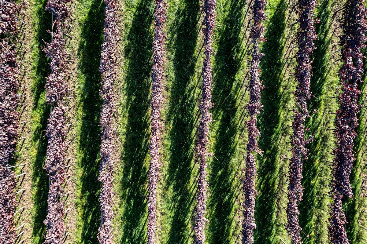 What Plant Systems Work Takes