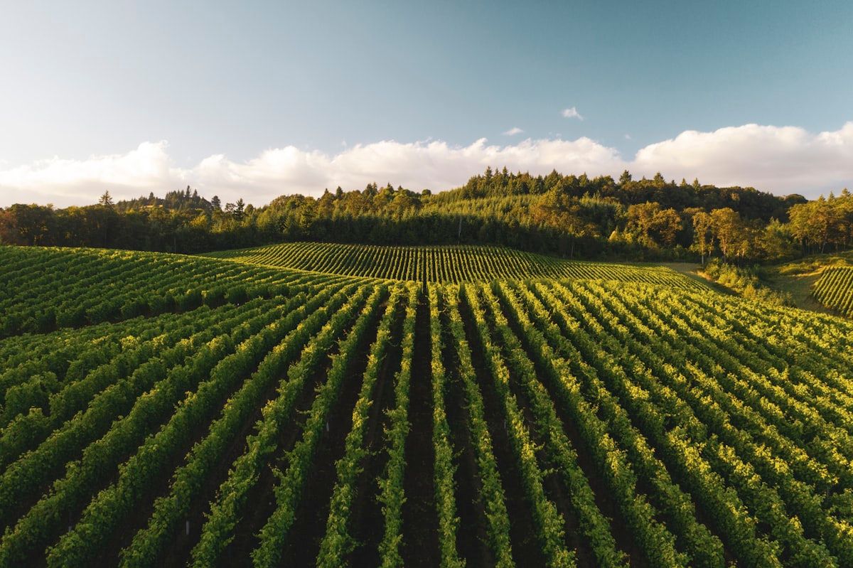 A Day in the Life of a Precision Agriculture Technician