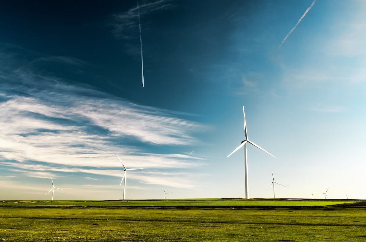 The Job and Pay Showdown: Sustainability Consultants