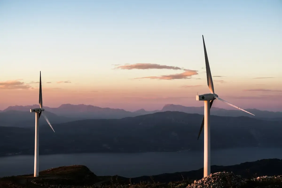 Sustainability Is Everywhere
