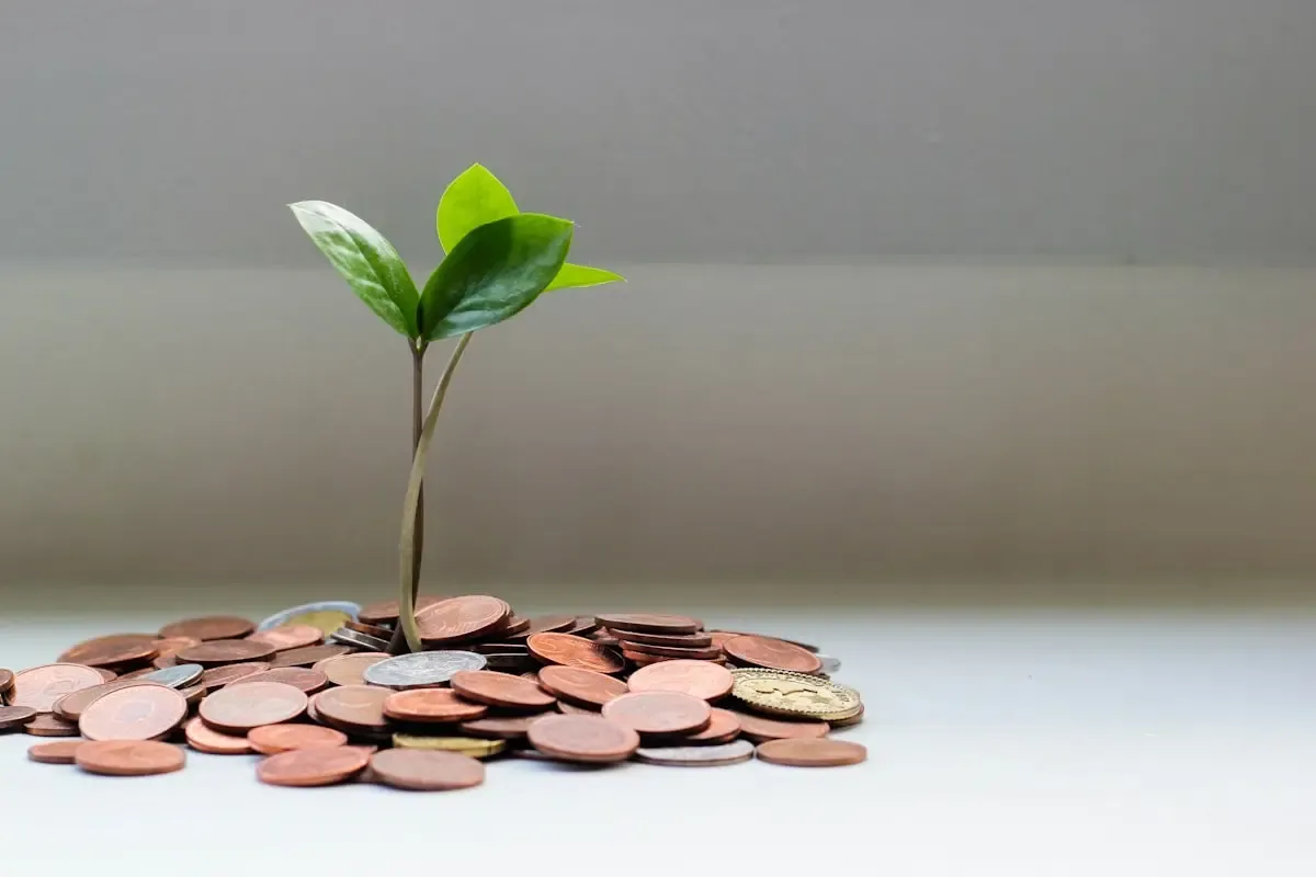 How to Become a Tax Preparer