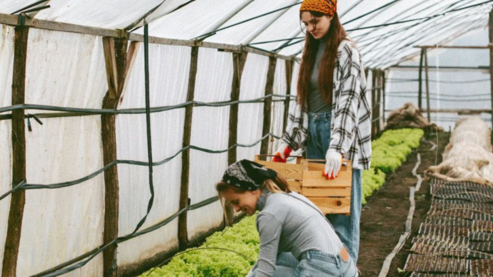 Agriculture in action